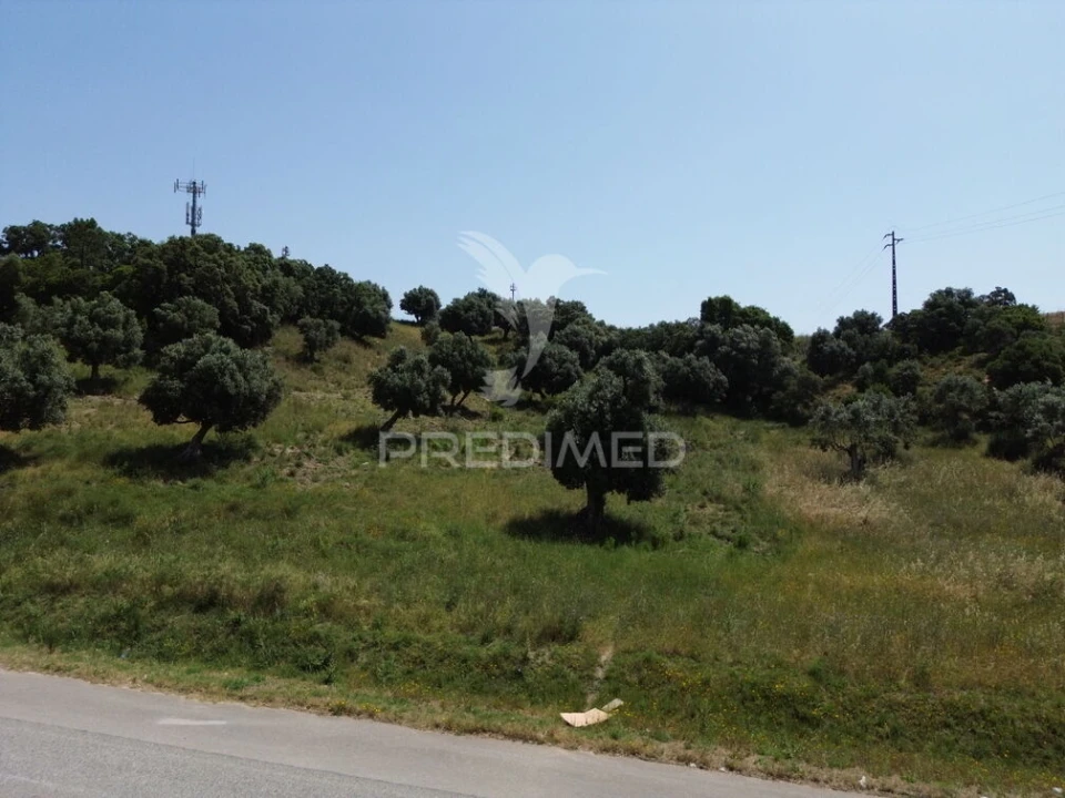 Terreno para Venda em Alcanena e Vila Moreira Foto 3