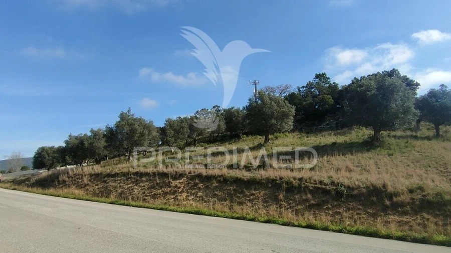 Terreno para Venda em Alcanena e Vila Moreira