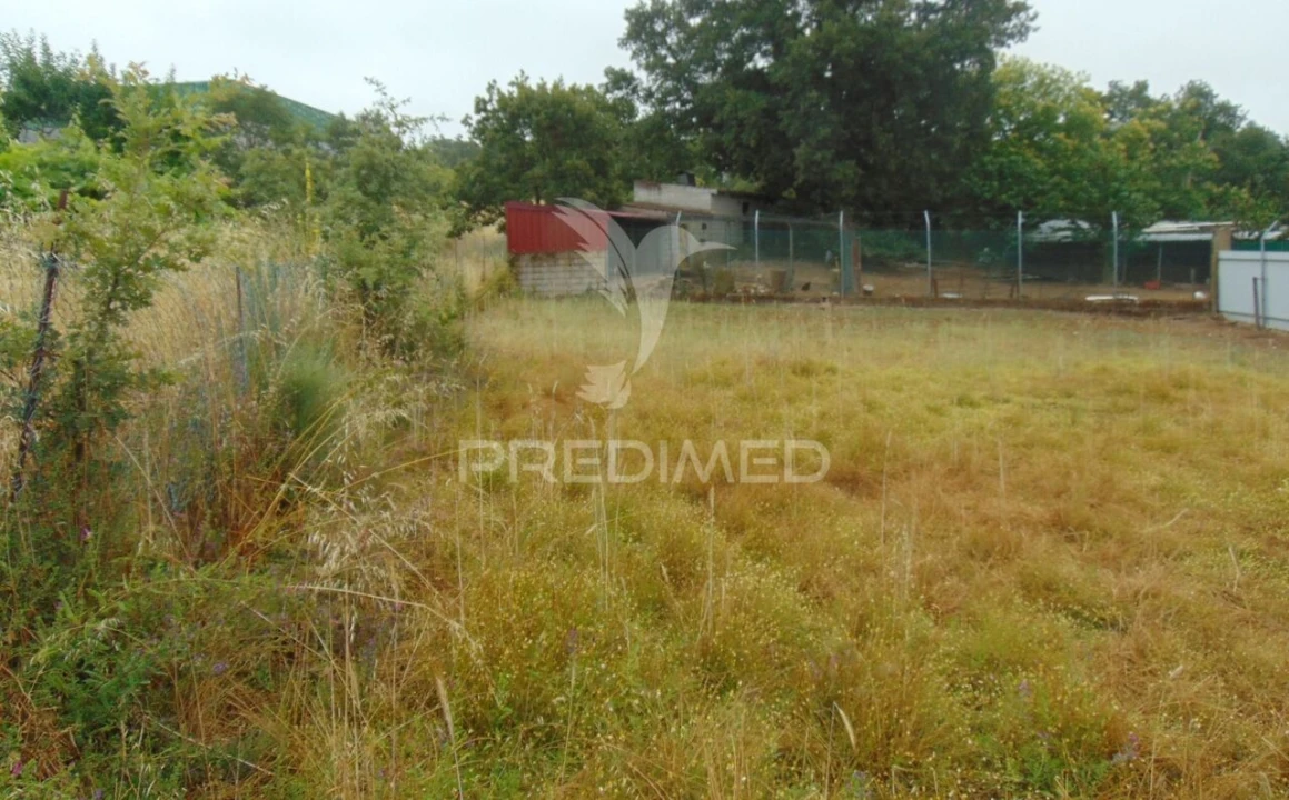 Terreno para Venda em São Tomé do Castelo e Justes Foto 9
