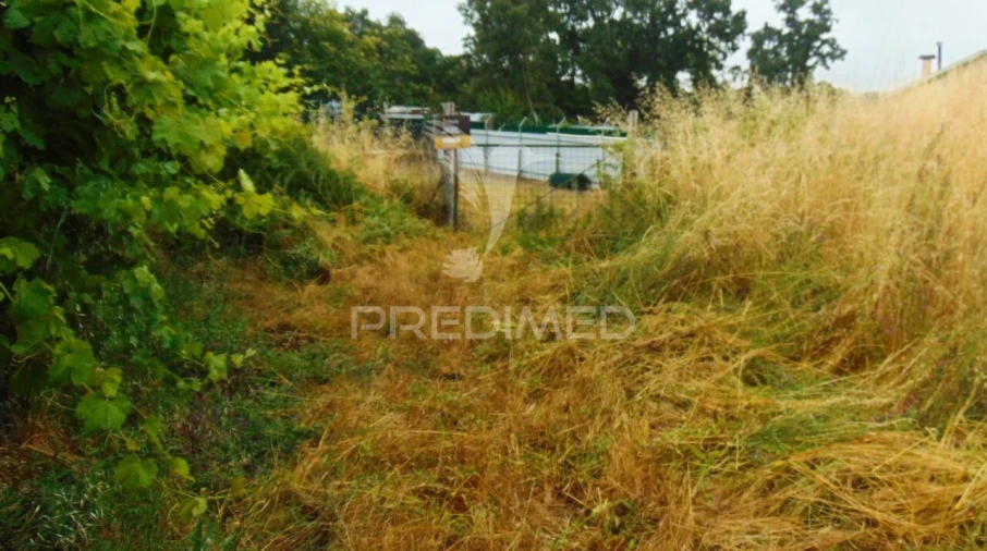 Terreno para Venda em São Tomé do Castelo e Justes Foto 10