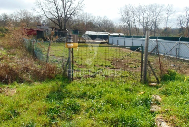 Terreno para Venda em São Tomé do Castelo e Justes Foto 3