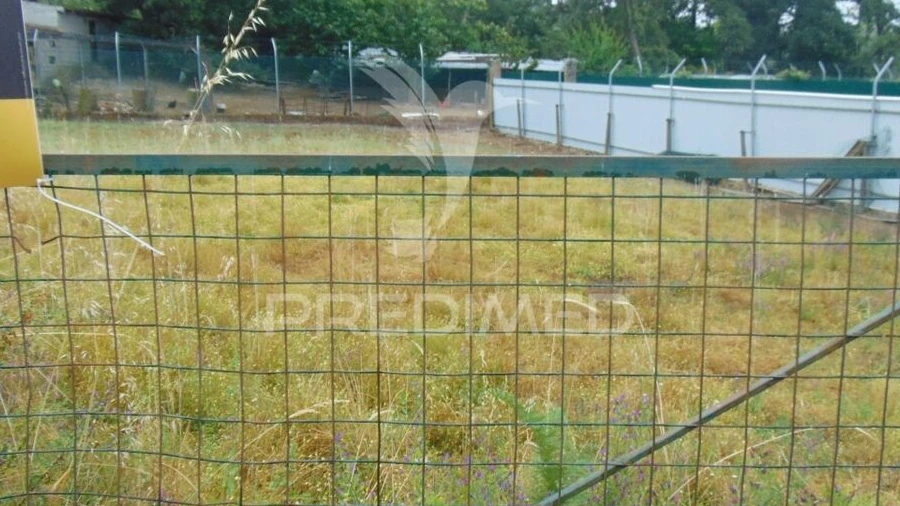 Terreno para Venda em São Tomé do Castelo e Justes
