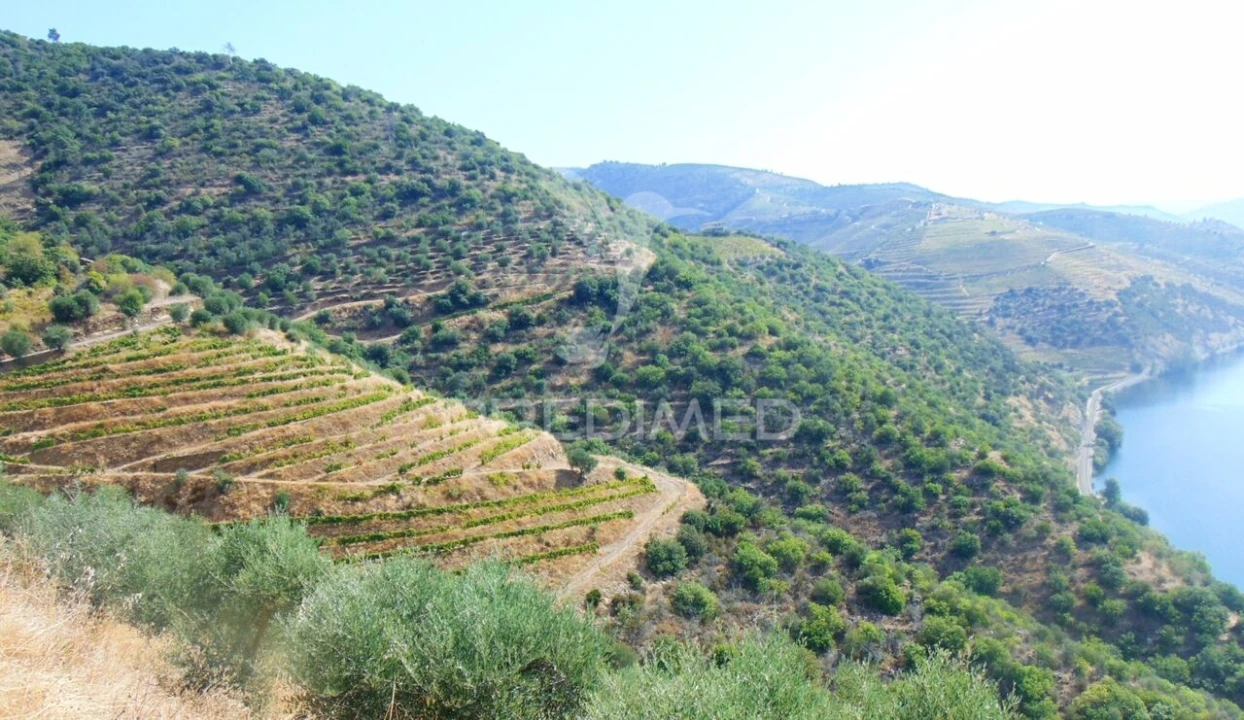 Terreno para Venda em Galafura e Covelinhas Foto 6