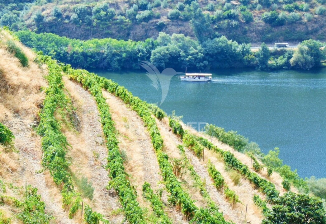 Terreno para Venda em Galafura e Covelinhas Foto 1