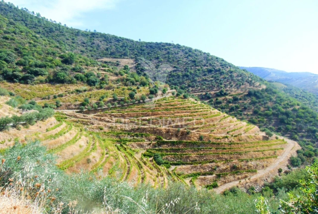 Terreno para Venda em Galafura e Covelinhas Foto 10