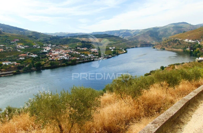 Terreno para Venda em Galafura e Covelinhas Foto 27