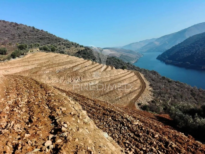 Terreno para Venda em Galafura e Covelinhas Foto 26