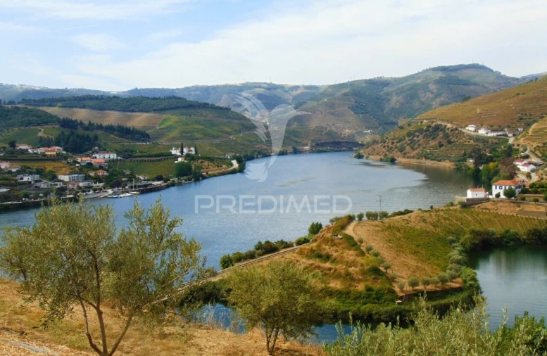Terreno para Venda em Galafura e Covelinhas Foto 29