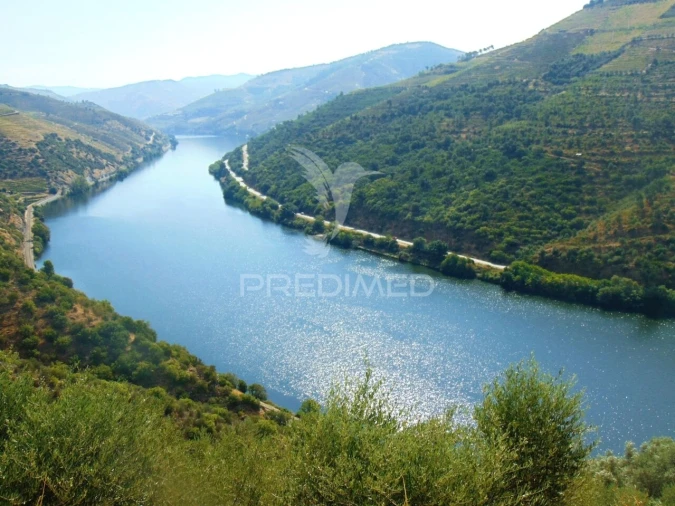 Terreno para Venda em Galafura e Covelinhas Foto 8