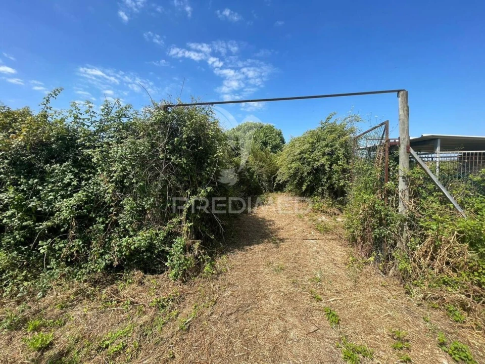 Moradia T0 para Venda em Manique do Intendente, Vila Nova de São Pedro e Maçussa Foto 7