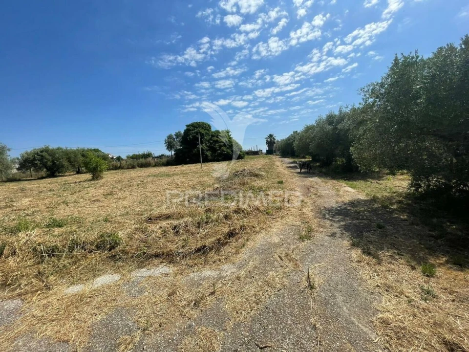 Moradia T0 para Venda em Manique do Intendente, Vila Nova de São Pedro e Maçussa Foto 3