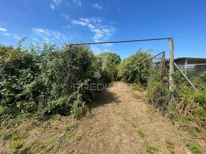 Moradia T0 para Venda em Manique do Intendente, Vila Nova de São Pedro e Maçussa Foto 7