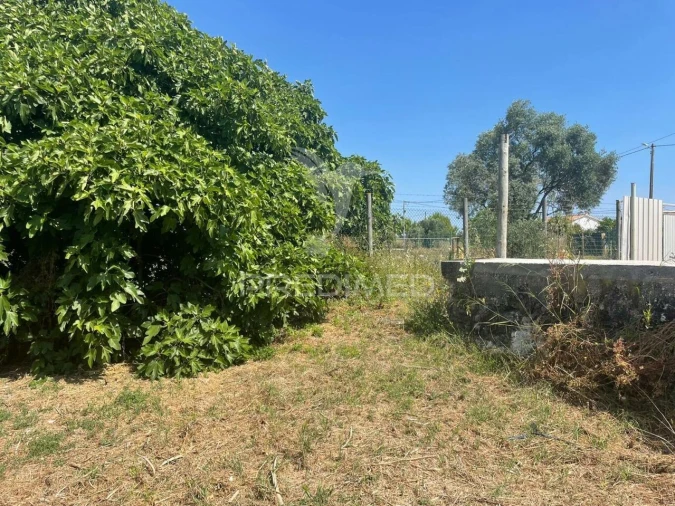 Moradia T0 para Venda em Manique do Intendente, Vila Nova de São Pedro e Maçussa Foto 4