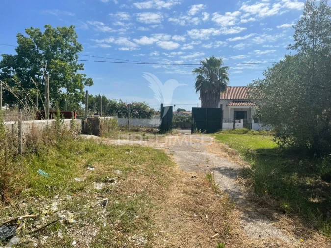 Moradia T0 para Venda em Manique do Intendente, Vila Nova de São Pedro e Maçussa Foto 5