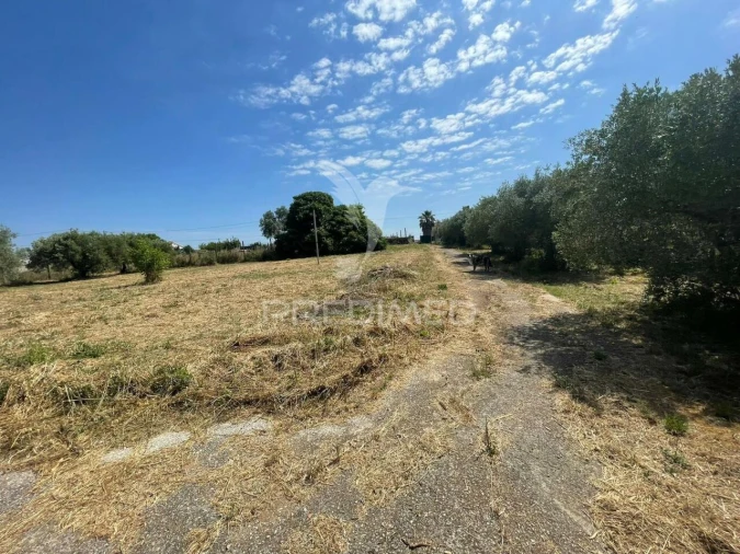 Moradia T0 para Venda em Manique do Intendente, Vila Nova de São Pedro e Maçussa Foto 3