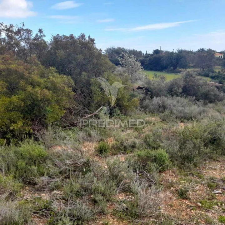 Terreno para Venda em Conceição e Estoi Foto 7