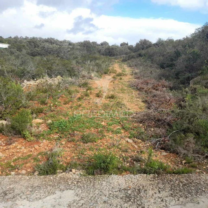 Terreno para Venda em Conceição e Estoi Foto 2