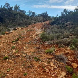 Terreno para Venda em Conceição e Estoi