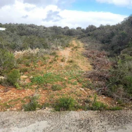Terreno para Venda em Conceição e Estoi