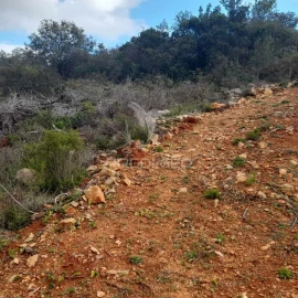 Terreno para Venda em Conceição e Estoi