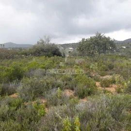 Terreno para Venda em Conceição e Estoi