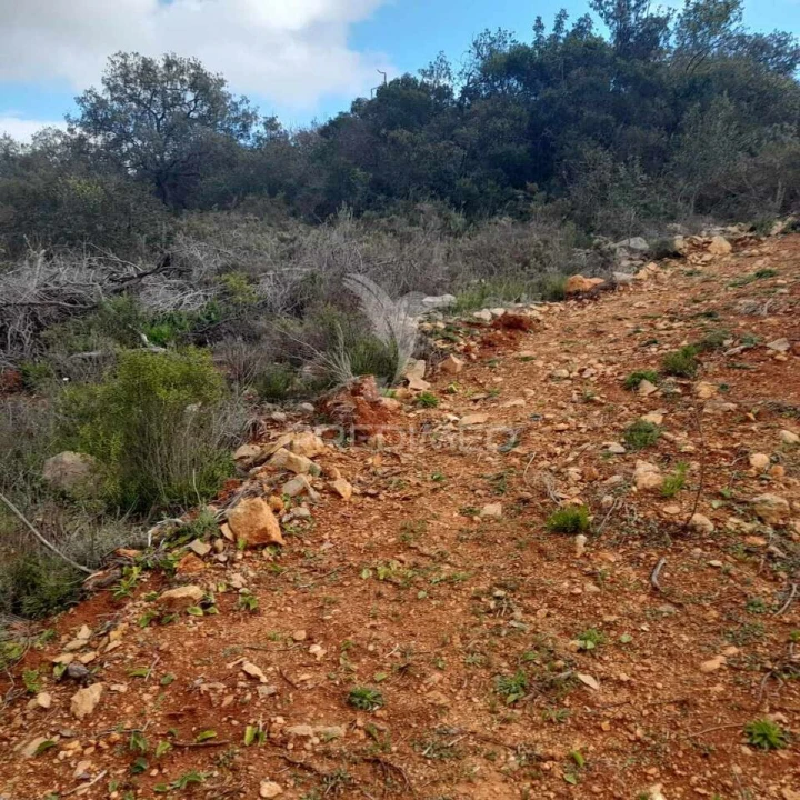 Terreno para Venda em Conceição e Estoi Foto 10