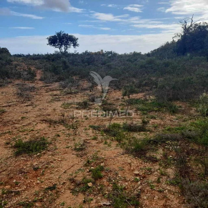 Terreno para Venda em Conceição e Estoi Foto 12