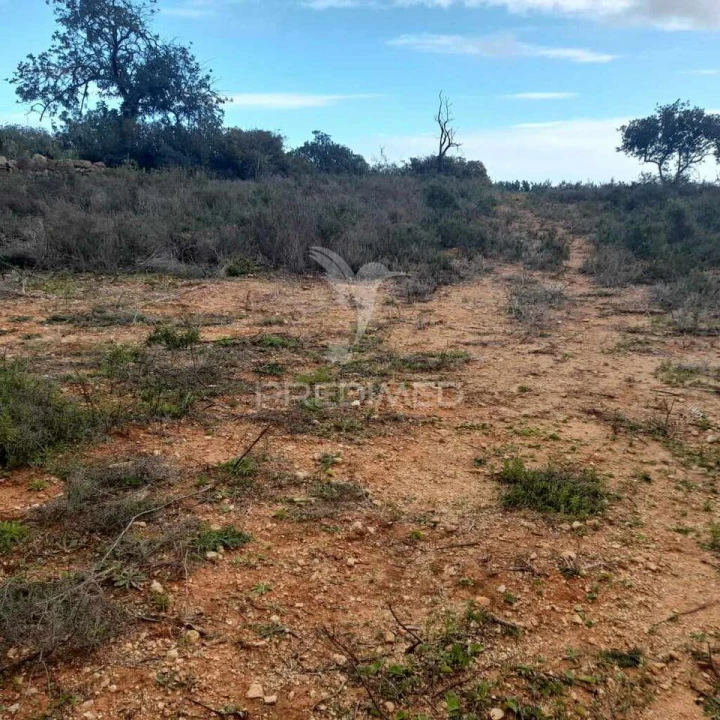 Terreno para Venda em Conceição e Estoi Foto 5