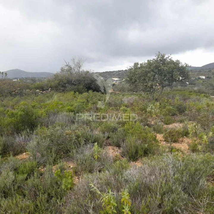 Terreno para Venda em Conceição e Estoi Foto 3