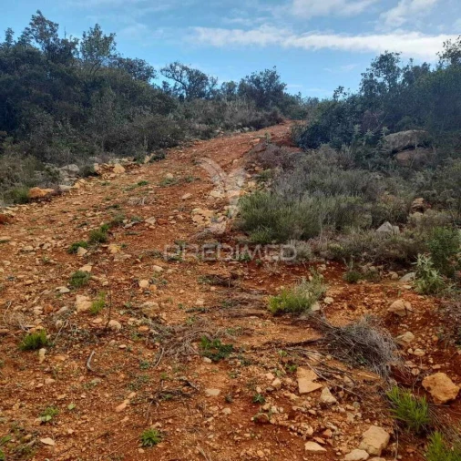 Terreno para Venda em Conceição e Estoi Foto 9