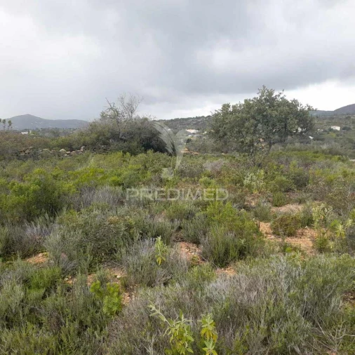 Terreno para Venda em Conceição e Estoi Foto 3