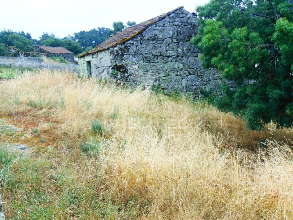 Terreno para Venda em São Tomé do Castelo e Justes Foto 6