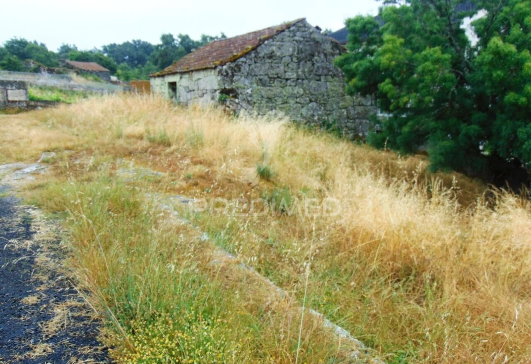 Terreno para Venda em São Tomé do Castelo e Justes Foto 9