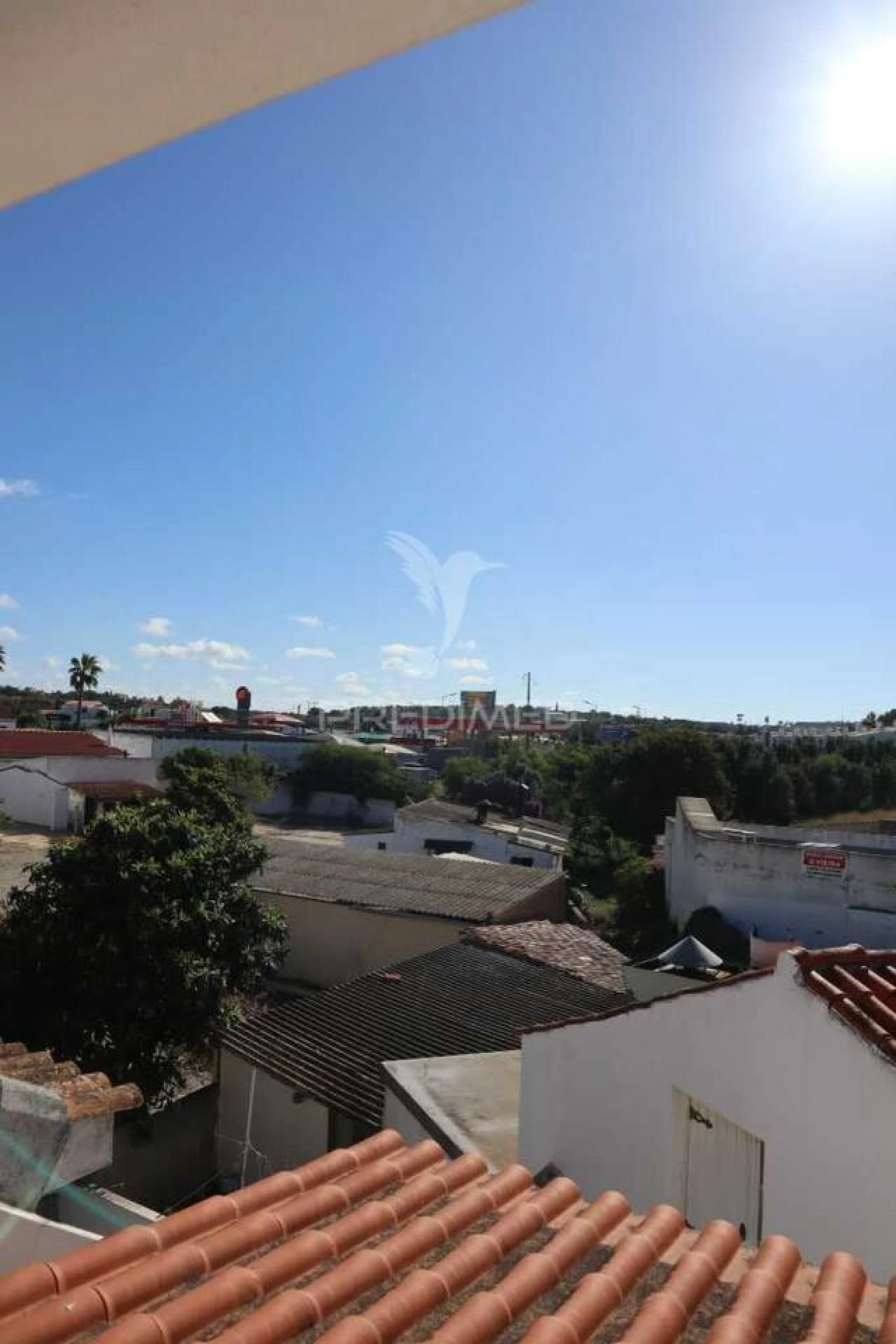 Loja para Venda em Guia Foto 7