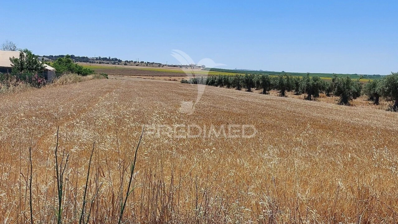 Terreno para Venda em Trigaches e São Brissos Foto 9
