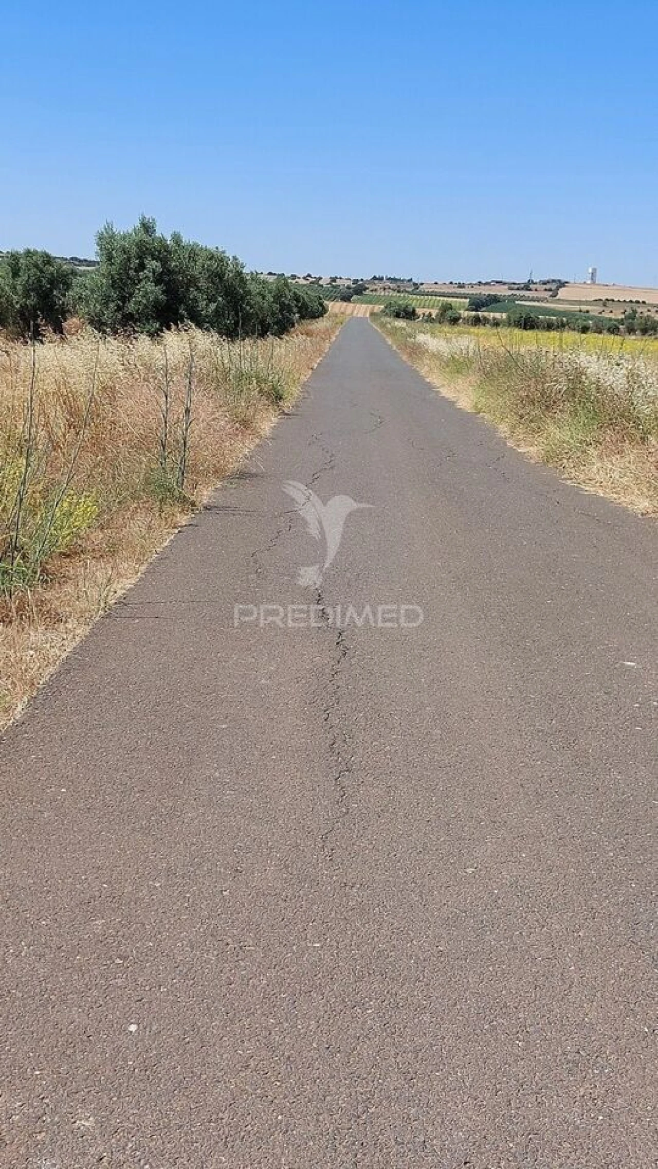 Terreno para Venda em Trigaches e São Brissos Foto 2
