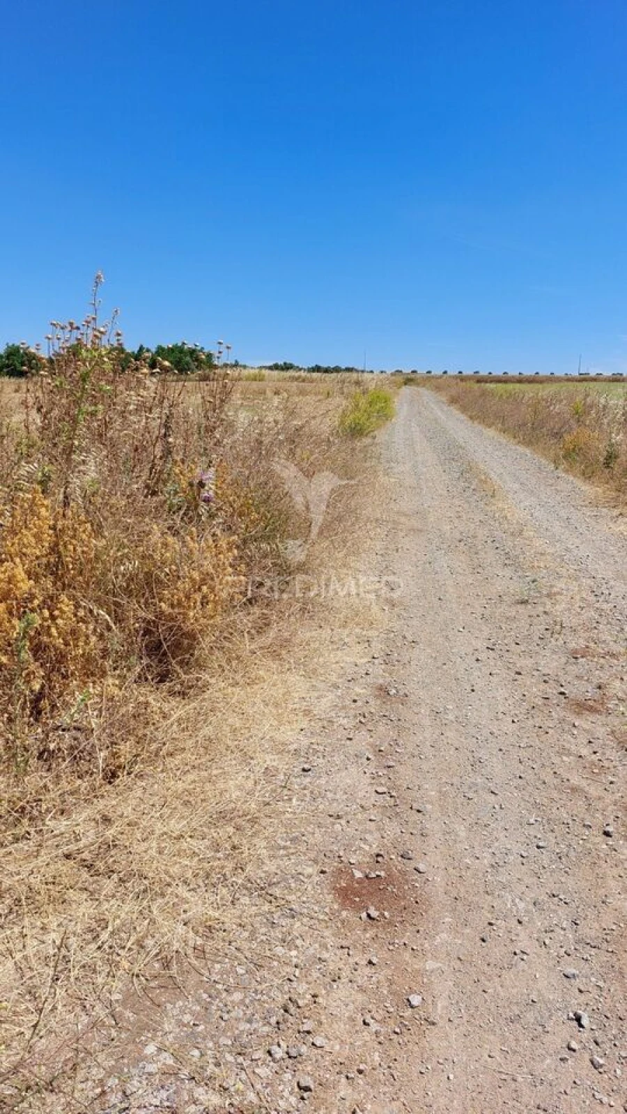 Terreno para Venda em Trigaches e São Brissos Foto 13
