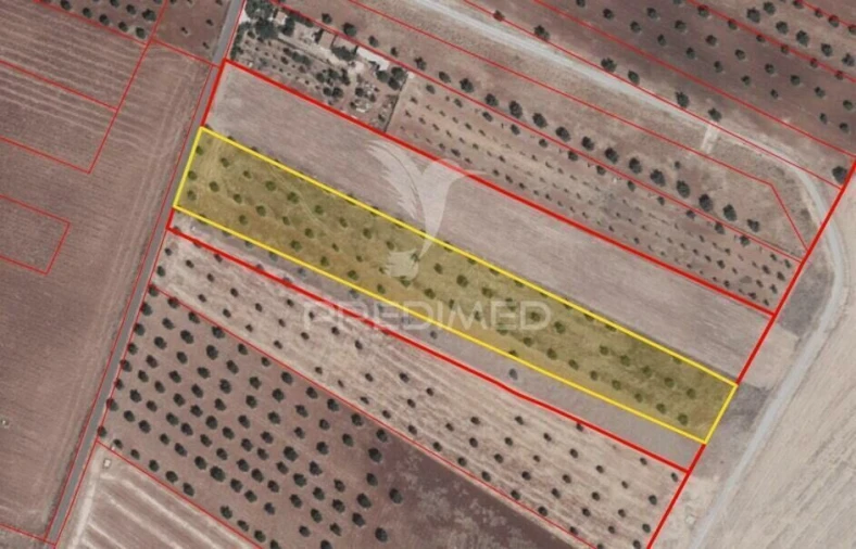 Terreno para Venda em Trigaches e São Brissos Foto 21