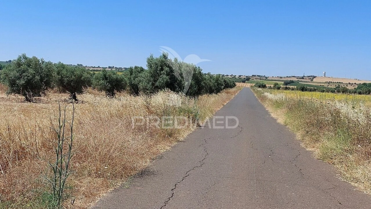 Terreno para Venda em Trigaches e São Brissos Foto 7