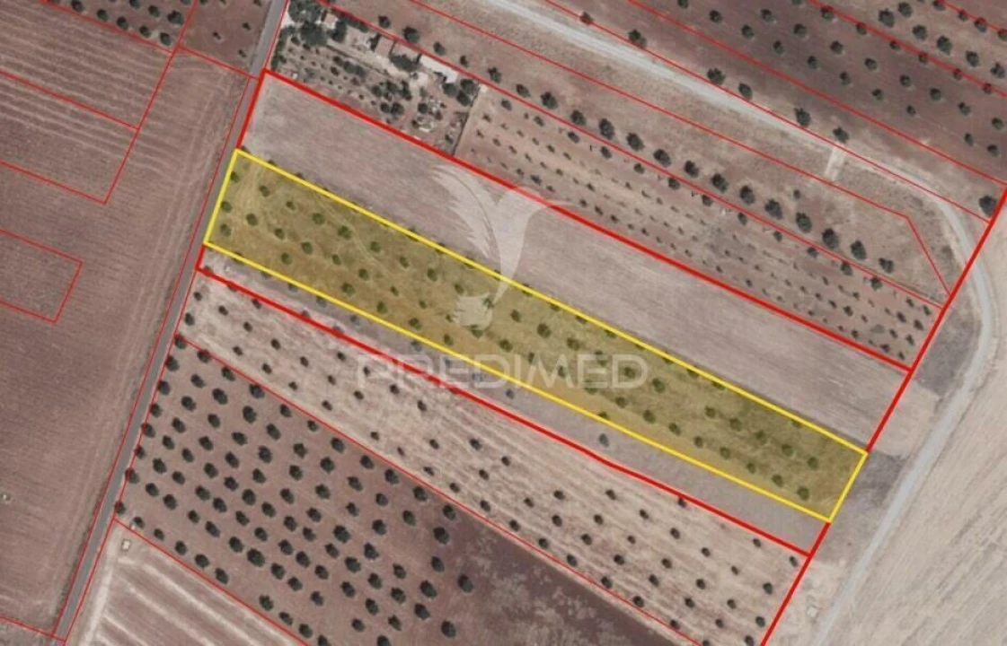 Terreno para Venda em Trigaches e São Brissos Foto 21