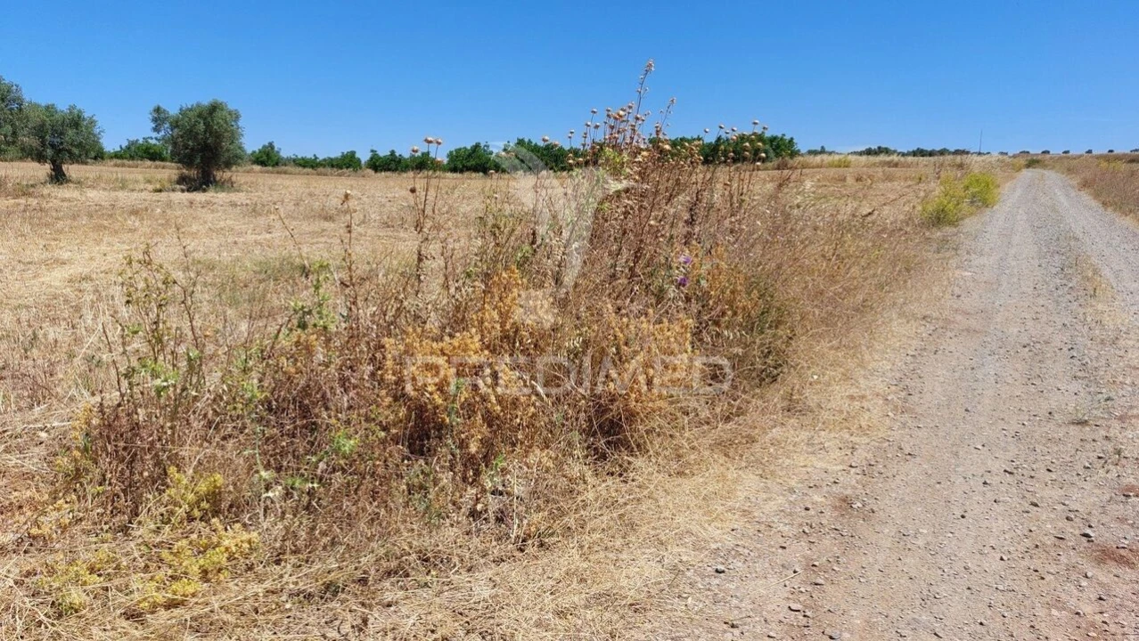 Terreno para Venda em Trigaches e São Brissos Foto 4