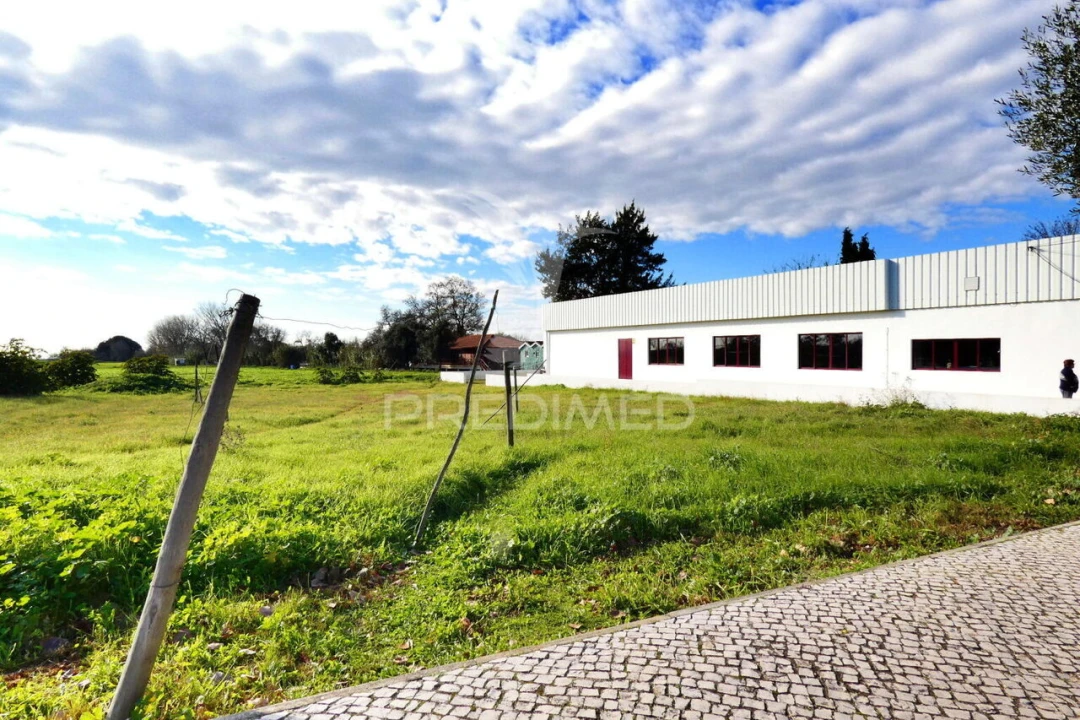 Terreno para Venda em Salvaterra de Magos e Foros de Salvaterra Foto 2