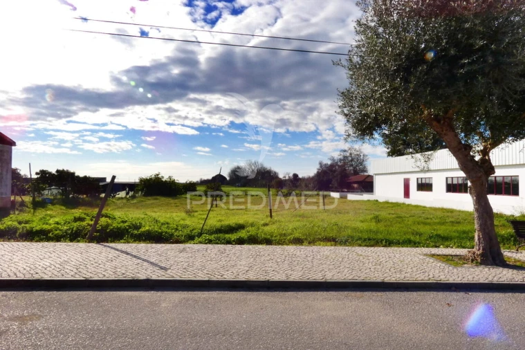Terreno para Venda em Salvaterra de Magos e Foros de Salvaterra Foto 3