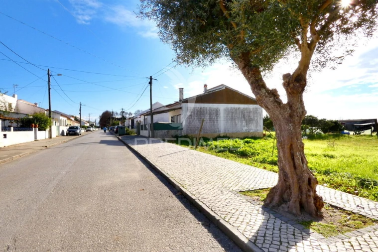 Terreno para Venda em Salvaterra de Magos e Foros de Salvaterra Foto 5