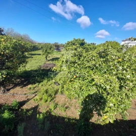 Terreno para Venda em Conceição e Estoi