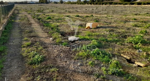 Terreno para Venda em Conceição e Estoi