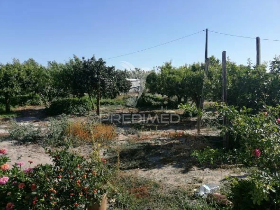 Quinta T3 para Venda em Grândola e Santa Margarida da Serra Foto 22