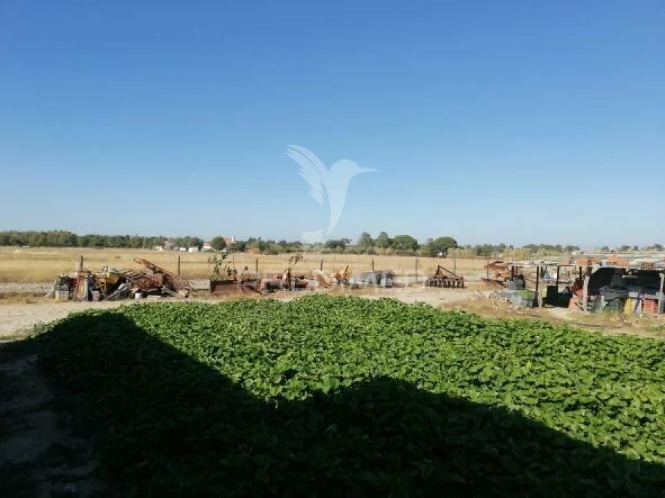 Quinta T3 para Venda em Grândola e Santa Margarida da Serra Foto 34