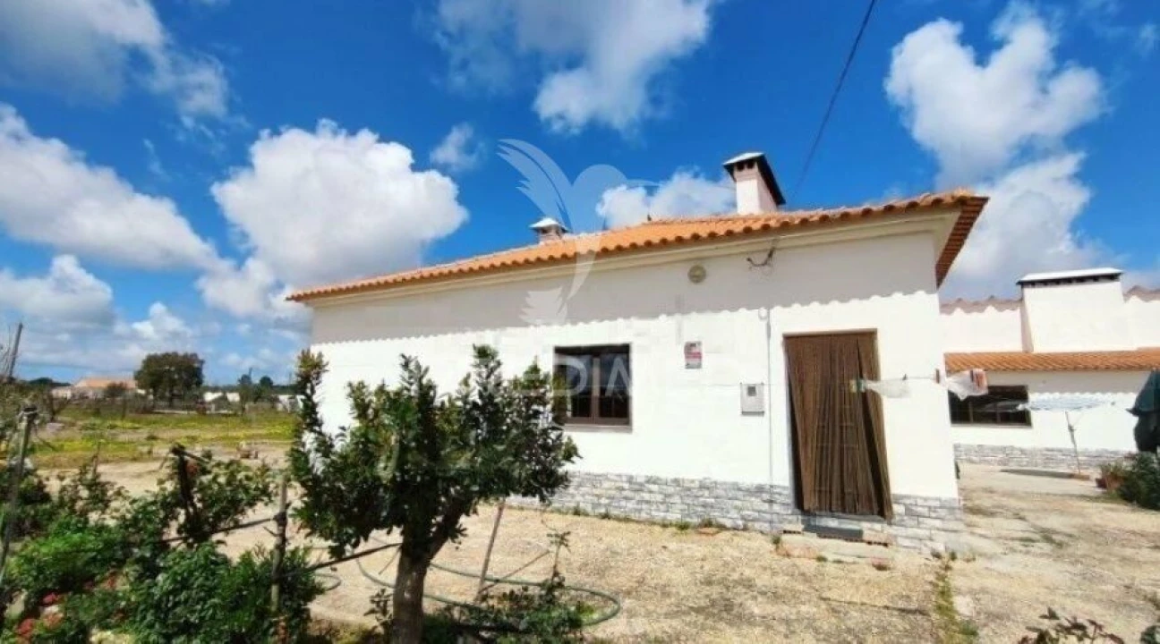 Quinta T3 para Venda em Grândola e Santa Margarida da Serra Foto 3