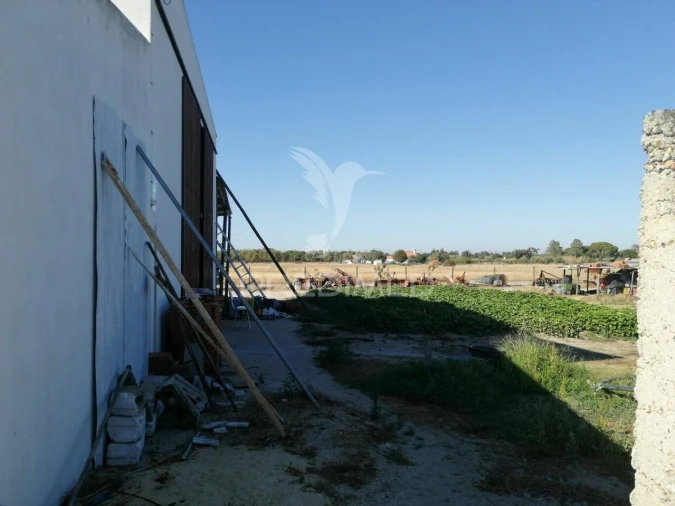 Quinta T3 para Venda em Grândola e Santa Margarida da Serra Foto 33